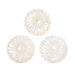 Natürliche schwarze Lippenmuschel geschnitzte Cabochons SSHEL-I026-17A