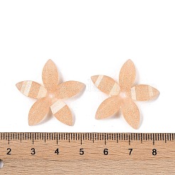 Epoxidharz Glitzerpulver Decoden Cabochons CRES-S367-04