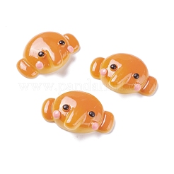 Harz Cabochons RESI-K013-06