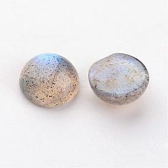 Natur Labradorit Cabochons G-D804-02