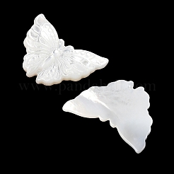 Natürliche weiße Muschel-Cabochons geschnitzt SSHEL-I026-30