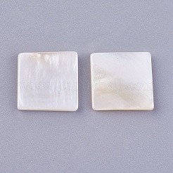Shell Cabochons BSHE-P026-24