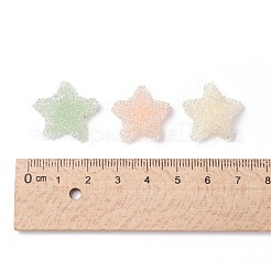 Harz Cabochons CRES-Q213-02