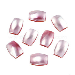 Natürliche Turbo Cornulus/Top Shell Cabochons SSHEL-N003-153B