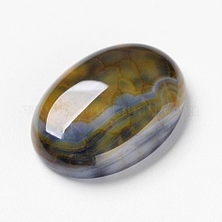 Natürliche Drachen Adern cabochons X-G-F296-05-18x25mm