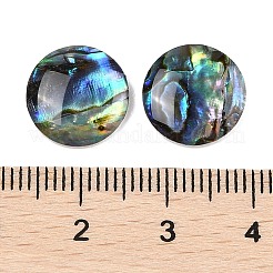 Natürlichen Muschel Cabochons SSHEL-I026-20C