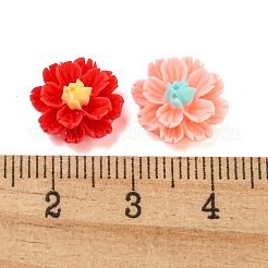 Undurchsichtige Decoden-Cabochons aus Harz CRES-I035-06