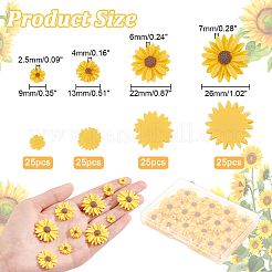 100 stücke 4 arten flatback haar & kostüm zubehör ornamente harz blume daisy cabochons CRES-NB0001-37A