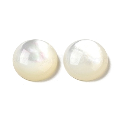 Natürliche weiße Muschel cabochons SSHEL-M022-01D