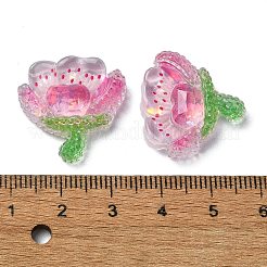 Transparente Decoden-Cabochons aus Epoxidharz CRES-I030-16B