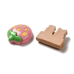 Deko-Cabochons aus undurchsichtigem Harz mit Frühlingsthema RESI-E053-03
