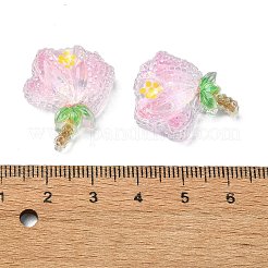 Transparente Decoden-Cabochons aus Epoxidharz CRES-I030-01A