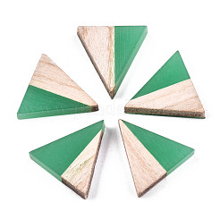 Durchscheinende Cabochons aus Harz und Holz CRES-N028-001A-A