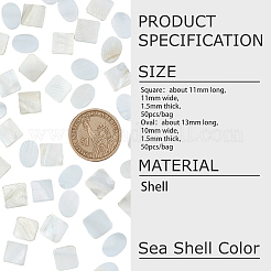 100 Stück 2 Stil natürliche Süßwassermuschel Cabochons SHEL-GF0001-01