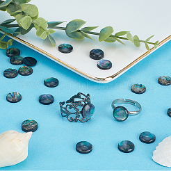 100 Stück 2 Stile natürliche Abalone Muschel/Paua Muschel Cabochons SHEL-SC0001-42