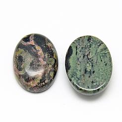 Natürliche Kambaba Jaspis Cabochons G-R450-01