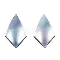 Natürliche Turbo Cornulus/Top Shell Cabochons SSHEL-N003-154