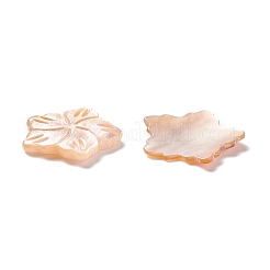 Muschel Cabochons SSHEL-C008-09