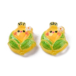 Cartoon-Cabochons aus transparentem Harz CRES-R459-01F
