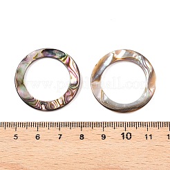 Natürliche Abalone Muschel / Paua Muschel Cabochons SHEL-T020-10B