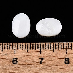 Natürliche Süßwasser Muschel Cabochons SHEL-T020-04