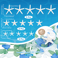 Seestern/Seestern undurchsichtiges Harz Meerestier Decoden Cabochons RESI-NB0002-06