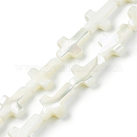 Нити бусин из натуральных трохоидных/трохус ракушек&nbsp;SSHEL-K027-04