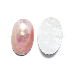 Natürlichen Shell Cabochons SHEL-K008-07B