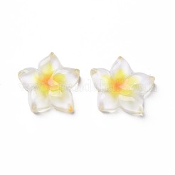 Transparente Epoxidharz-Cabochons X-CRES-S365-23A