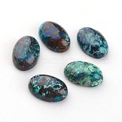 Natürliche Chrysocolla-Cabochons G-D804-01