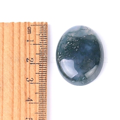 Natur Indien Achat Cabochons PW-WG8E62B-01