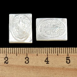 Geschnitzte natürliche weiße Muschel-Cabochons SSHEL-N038-07-01
