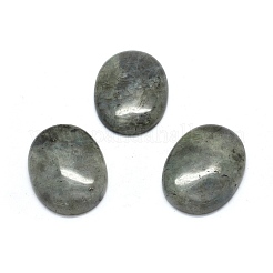 Natur Labradorit Cabochons G-O175-20
