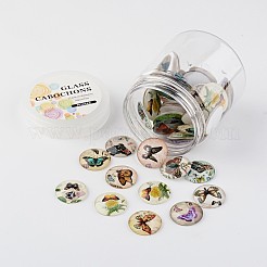 Glas cabochons GGLA-JP0003-14