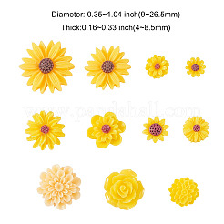 Harz Cabochons CRES-CJC0005-01B