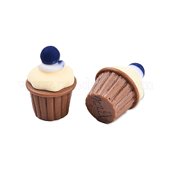 Undurchsichtige Decoden-Cabochons aus Harz CRES-N022-148