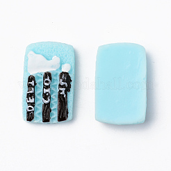Harz Cabochons RESI-R429-19D