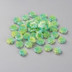 Farbverlauf-Rosen-Harz-Cabochons MRMJ-TAC0009-11