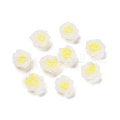 Leuchtende Decoden-Cabochons aus Harz RESI-K036-06E