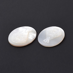 Natürliche weiße Muschel cabochons SSHEL-D083-15