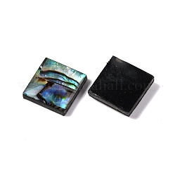 Natürliche Paua-Muschel-Epoxidharz-Cabochons SSHEL-S279-01H