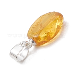 Подвески из натурального янтаря с градиентным цветом&nbsp;PALLOY-JF04930-01