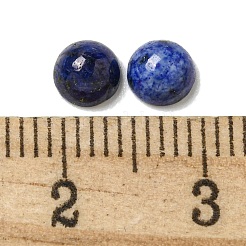 Natürliche Lapislazuli Cabochons G-Q173-01B-11
