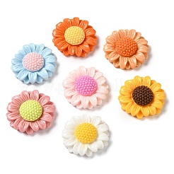 Undurchsichtige Decoden-Cabochons aus Harz RESI-M041-12