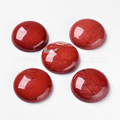 Natürlichen roten Jaspis-Cabochons G-F298-04
