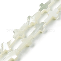 Нити бусин из натуральных трохоидных/трохус ракушек&nbsp;SSHEL-K027-02