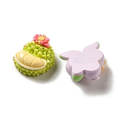 Deko-Cabochons aus undurchsichtigem Harz mit Blüten und Früchten CRES-P033-01
