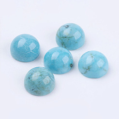 Natur Howlite Cabochons TURQ-L028-05-6mm