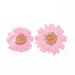 Blüten-Cabochons aus undurchsichtigem Harz RESI-L036-07B
