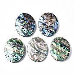 Natürliche Abalone Muschel / Paua Muschel Cabochons SSHEL-N034-87